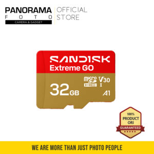 Memory Sandisk Micro sd 32gb Extreme GO s100